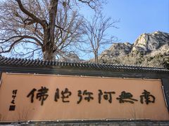 -北京凤凰岭