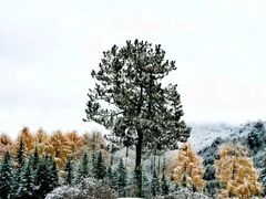 -硗碛藏寨·神木垒景区