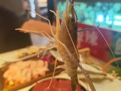 -椰子湾·海南火锅·糟粕醋·椰子鸡(正大广场店)