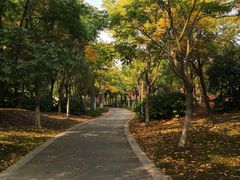 -尚贤河湿地
