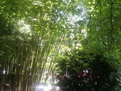 android_upload_pic-新竹里馆·花园餐厅(兴苑路店)