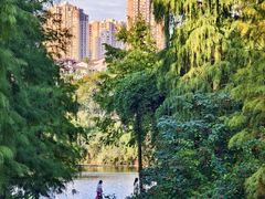 -重庆彩云湖湿地公园