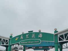 -荷兰花海