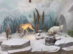 -西霞口神雕山野生动物世界