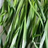 御轩家宴菜谱——韭菜烀饼