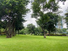 -晓港公园