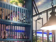 -野妹经典火锅(民治店)