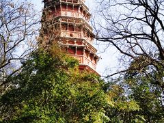 -宝通禅寺