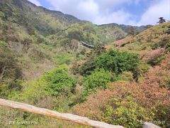 -木兰云雾山