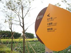 -光明小镇欢乐田园