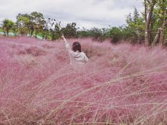 -白鹭湾湿地公园