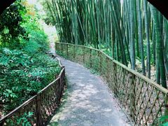 -汇龙潭