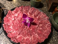-养心殿台式养生锅(铜锣湾店)