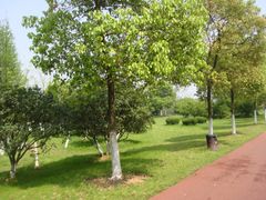 -艾溪湖湿地公园