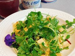香芹苗拌腐竹-北平食府·北京烤鸭(北京西站六里桥店)