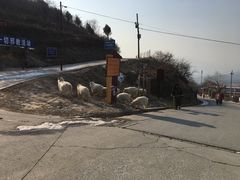 -鬼笑石后山停车场