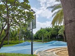 -宝安西湾红树林湿地公园