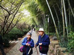 -九龙潭景区