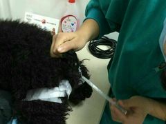 android_upload_pic-康乐宝动物医院