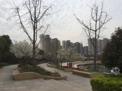 -新江湾城公园