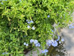 -里宴川菜酒楼(昊祥邻里聚金泉广场店)