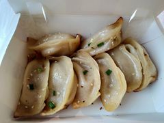 鲜肉锅贴-小姜锅贴(凤凰街店)
