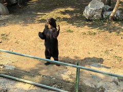 -石家庄市动物园