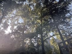 -宁海森林温泉