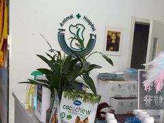 -中农国际动物医院24小时·猫科·骨科·急重症中心