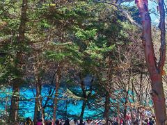 -西姆山居酒店(九寨沟沟口店)