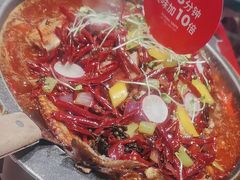 -南锣肥猫·麻辣烤鱼·16年现烤现卖(财富购物中心店)