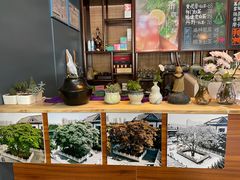 -菩提树下茶咖鼓捣
