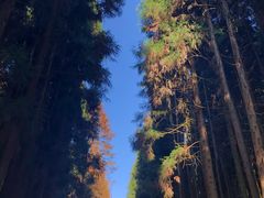 -山王坪喀斯特国家生态公园