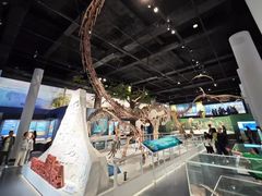 -国家自然博物馆