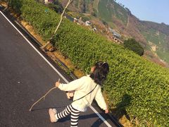 -帐篷客·溪龙茶谷度假酒店