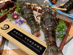 -黑木原精致料理·铁板烧