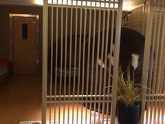 -水立方国际汤泉(六一中路店)