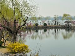 -无锡蠡湖国家湿地公园-蠡园