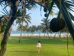 -海南清水湾莱佛士酒店