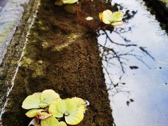 -海窝子古镇