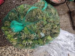 -四姐南瓜田鸡(202店)