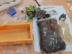 -新大新(东山广场店)