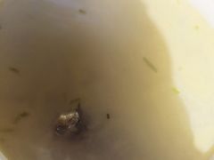 -鱼乐岛餐厅·户外花园主题餐厅