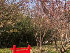 -丰台花园