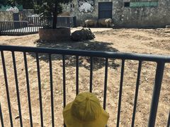 -无锡动物园·太湖欢乐园