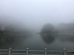 -广州市帽峰山景区