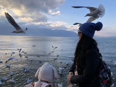 -小普陀