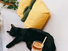 -五进制 Coffee Shop