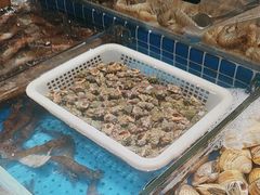 -加餐海鲜自助餐厅(福清万达店)