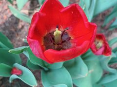 -长春公园(普阳街道)